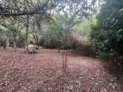 Terrain, 1 423 m²