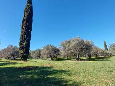 Maison, 230 m²
