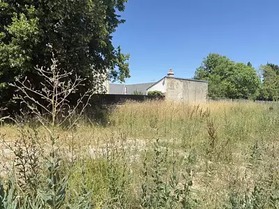Terrain, 703 m²