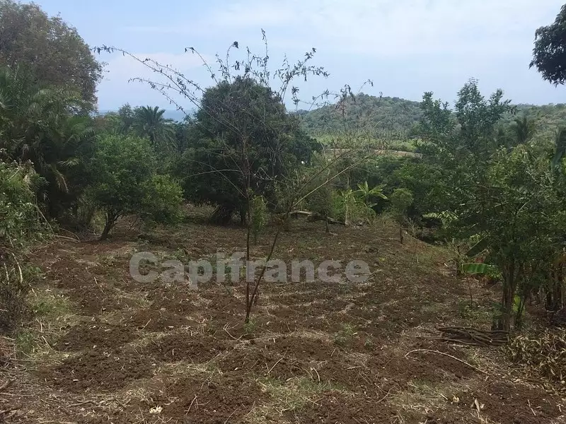 Terrain, 6 969 m²