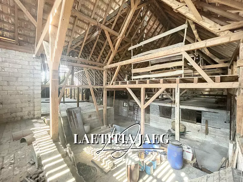 Maison, 650 m²