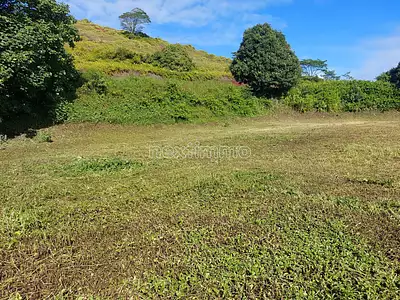 Terrain, 1 036 m²