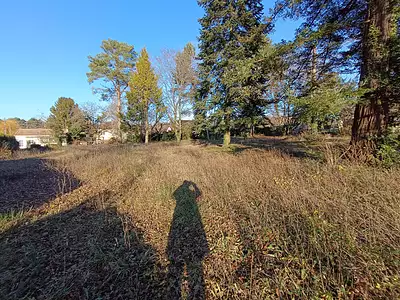 Terrain