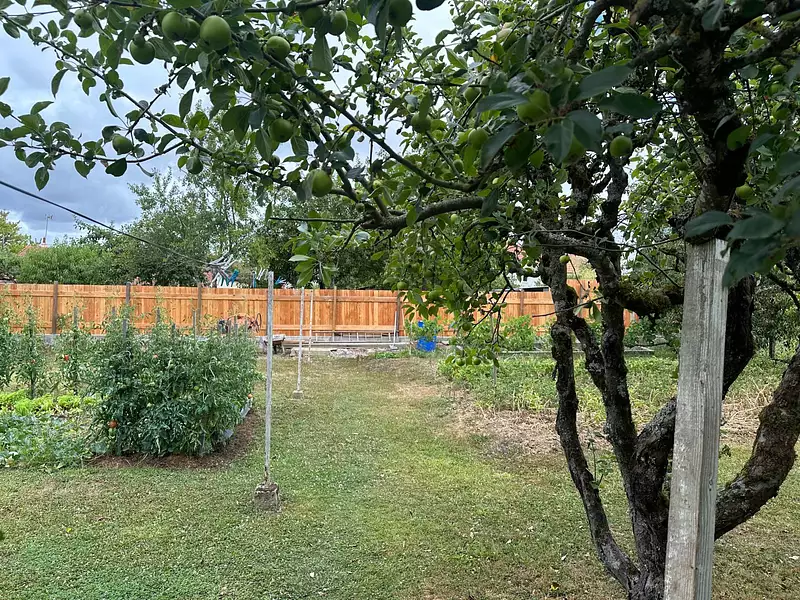 Maison, 77 m²