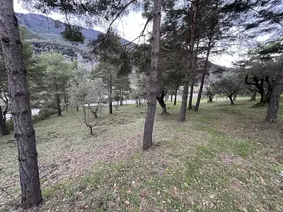 Maison, 75 m²