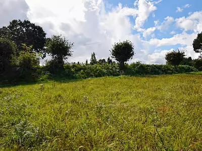 Terrain, 790 m²