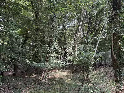 Maison, 96,4 m²