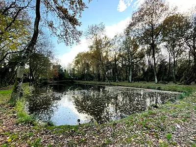 Terrain, 8 950 m²