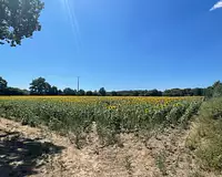 Terrain, 422 862 m²