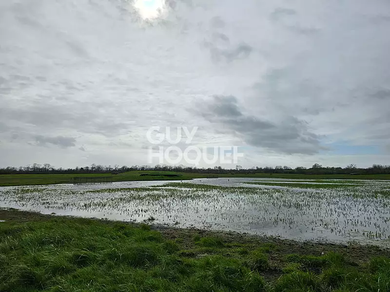 Terrain, 13 560 m²
