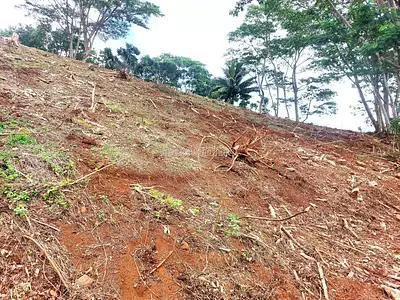 Terrain, 3 500 m²