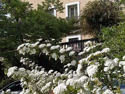Maison, 180 m²