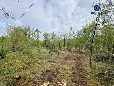 Terrain