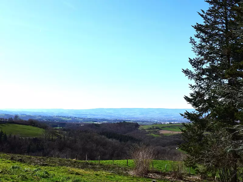 Terrain, 1 245 m²