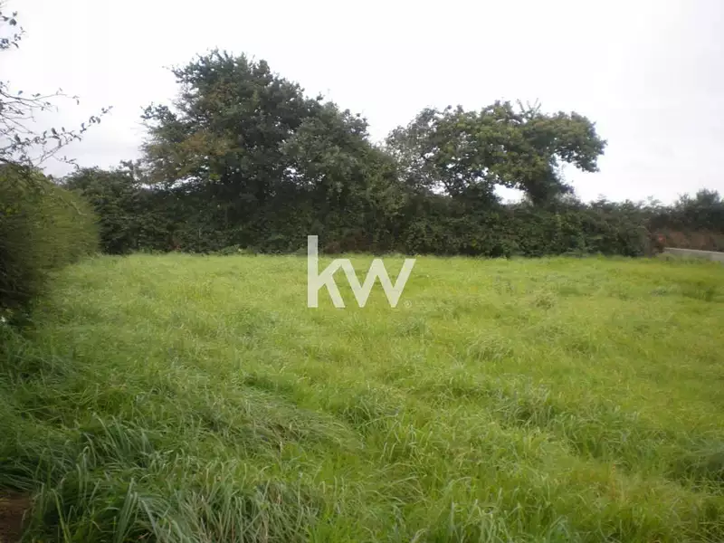 Terrain, 1 742 m²
