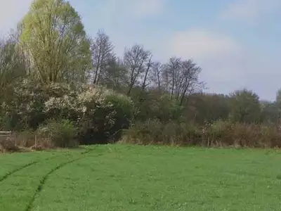 Terrain à bâtir, 432 m²