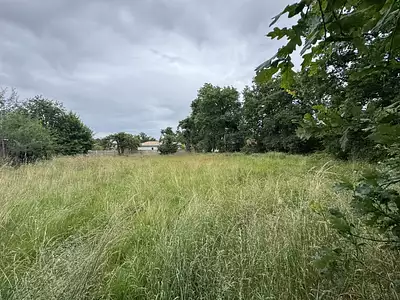 Terrain, 1 233 m²