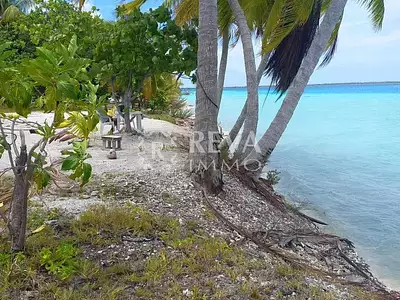 Terrain, 111 000 m²