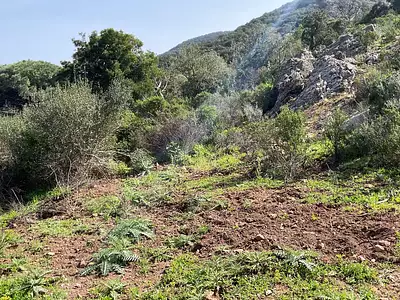 Terrain, 1 428 m²