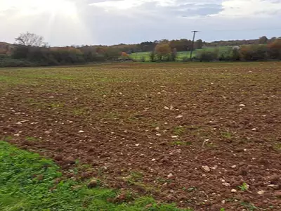 Terrain, 15 835 m²