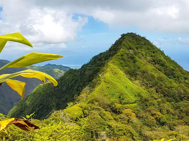 Terrain, 169 411 m²