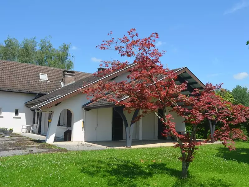 Maison, 175 m²