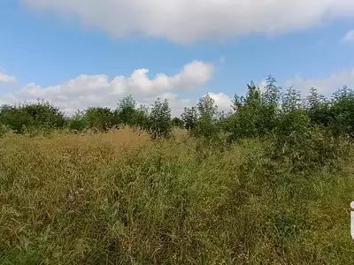 Terrain, 1 804 m²