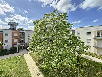 Appartement, 81,19 m²