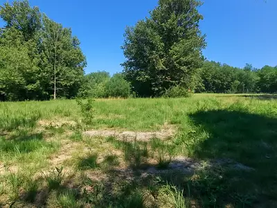 Terrain, 916 m²