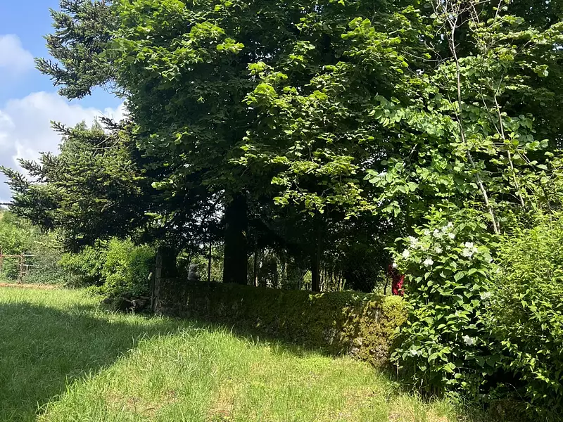 Maison, 124 m²