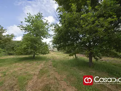 Terrain, 2 257 m²