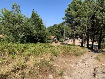 Terrain, 201 m²