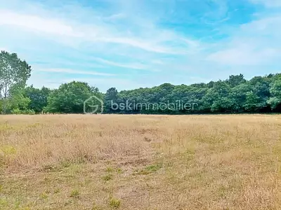 Terrain, 6 614 m²