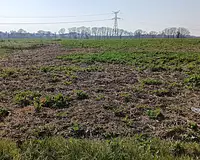 Terrain, 659 m²