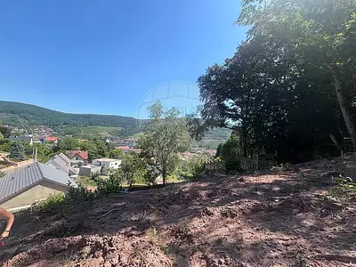 Terrain, 4 232 m²