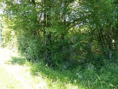 Terrain, 1 476 m²
