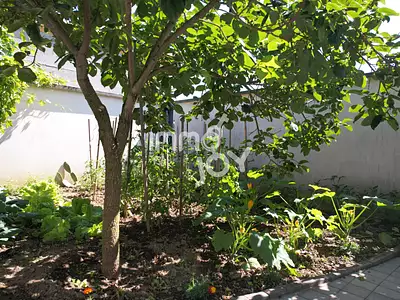 Maison, 200 m²