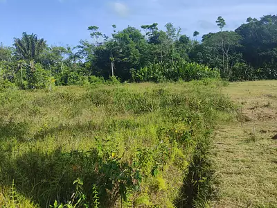 Terrain, 930 m²