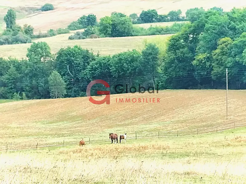 Terrain, 267 883 m²