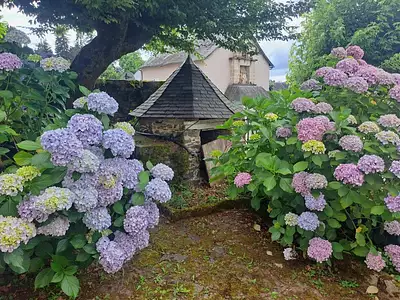 Maison, 240 m²