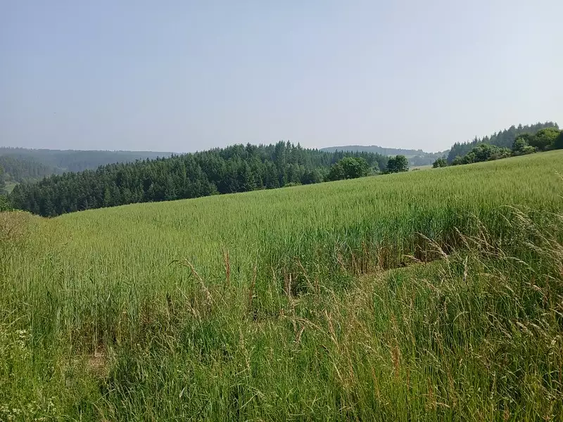 Terrain, 950 m²
