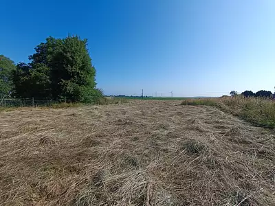 Terrain