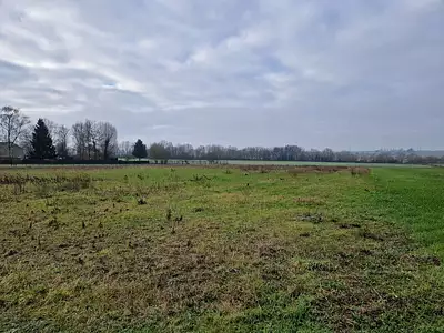 Terrain, 8 267 m²