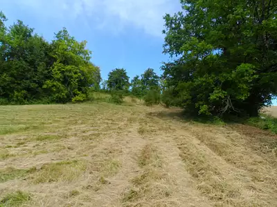 Terrain, 2 500 m²