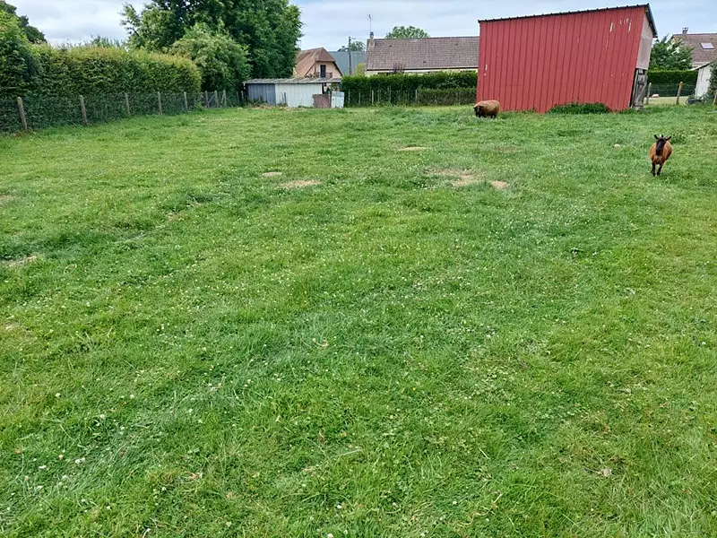 Maison, 110 m²