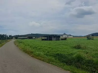 Terrain, 2 559 m²