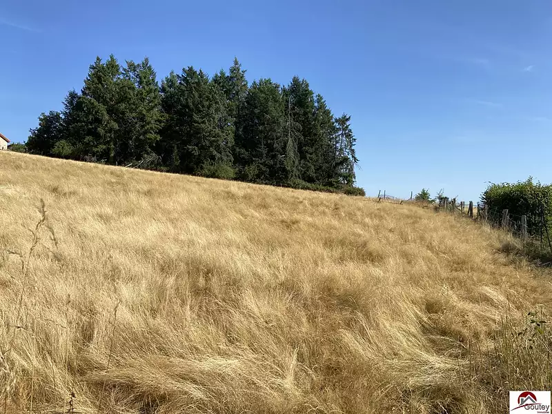 Terrain, 1 590 m²