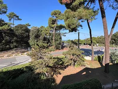 Appartement, 39,24 m²