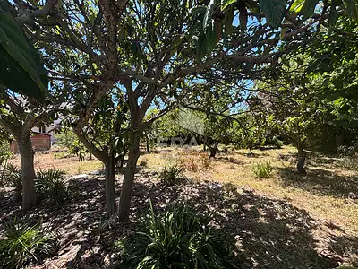 Terrain, 1 085 m²