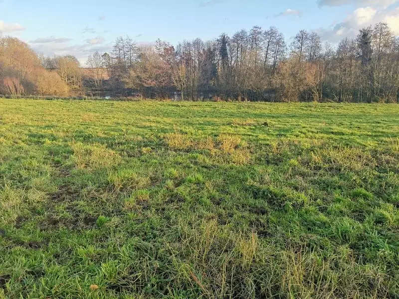 Terrain, 17 370 m²
